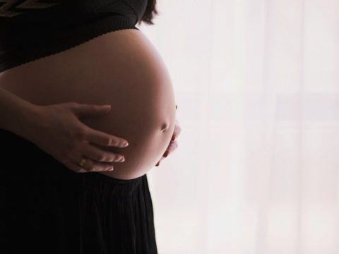 Schwangerschaft - ein Überblick